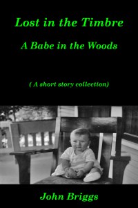 Lost in the Timbre: A Babe in the Woods